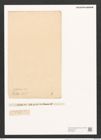 Surirella kittoniana A. Schm. (de-Toni-Nr.: Genus 53, Species 2369) Zeichnungen Sammlung Grunow (NHMW-BOT-W0372900)